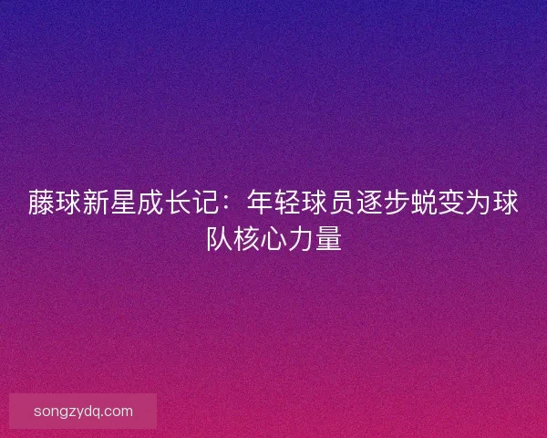 藤球新星成长记：年轻球员逐步蜕变为球队核心力量